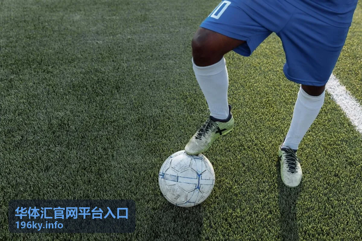 团队协作支持方案中的成员权限管理页面